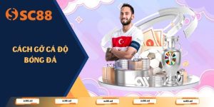 Cách Gỡ Cá Độ Bóng Đá - Lộ Trình Thoát Nợ Cho Anh Em