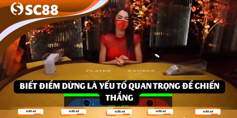 Biết điểm dừng là yếu tố quan trọng để chiến thắng